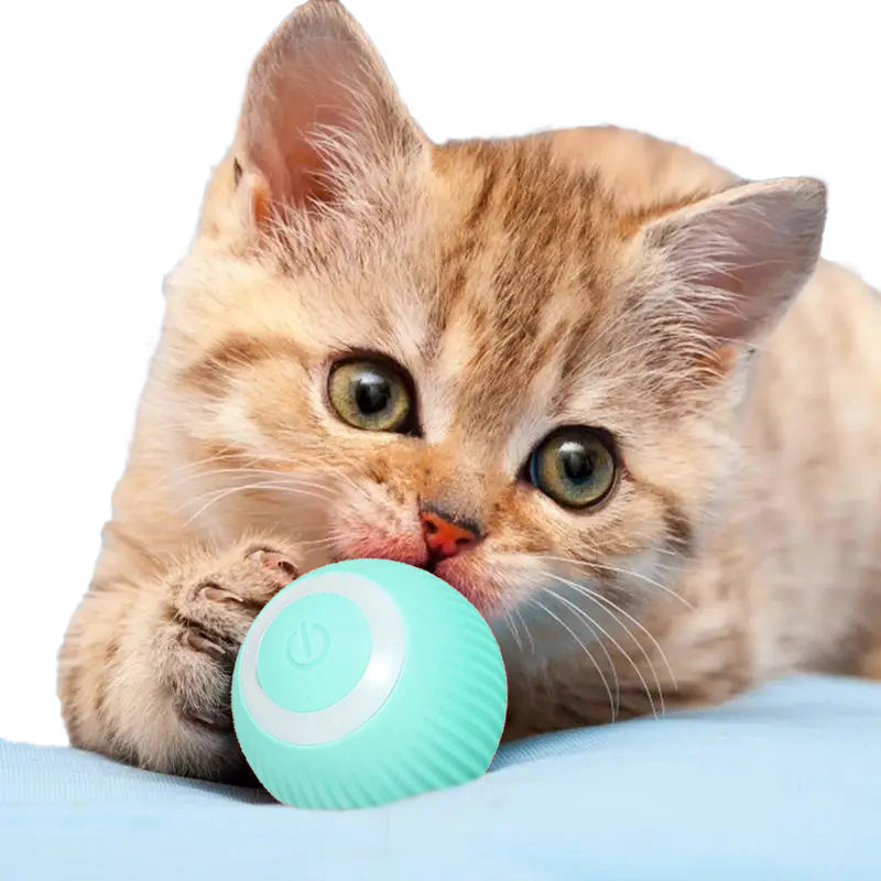 Smart Cat Ball